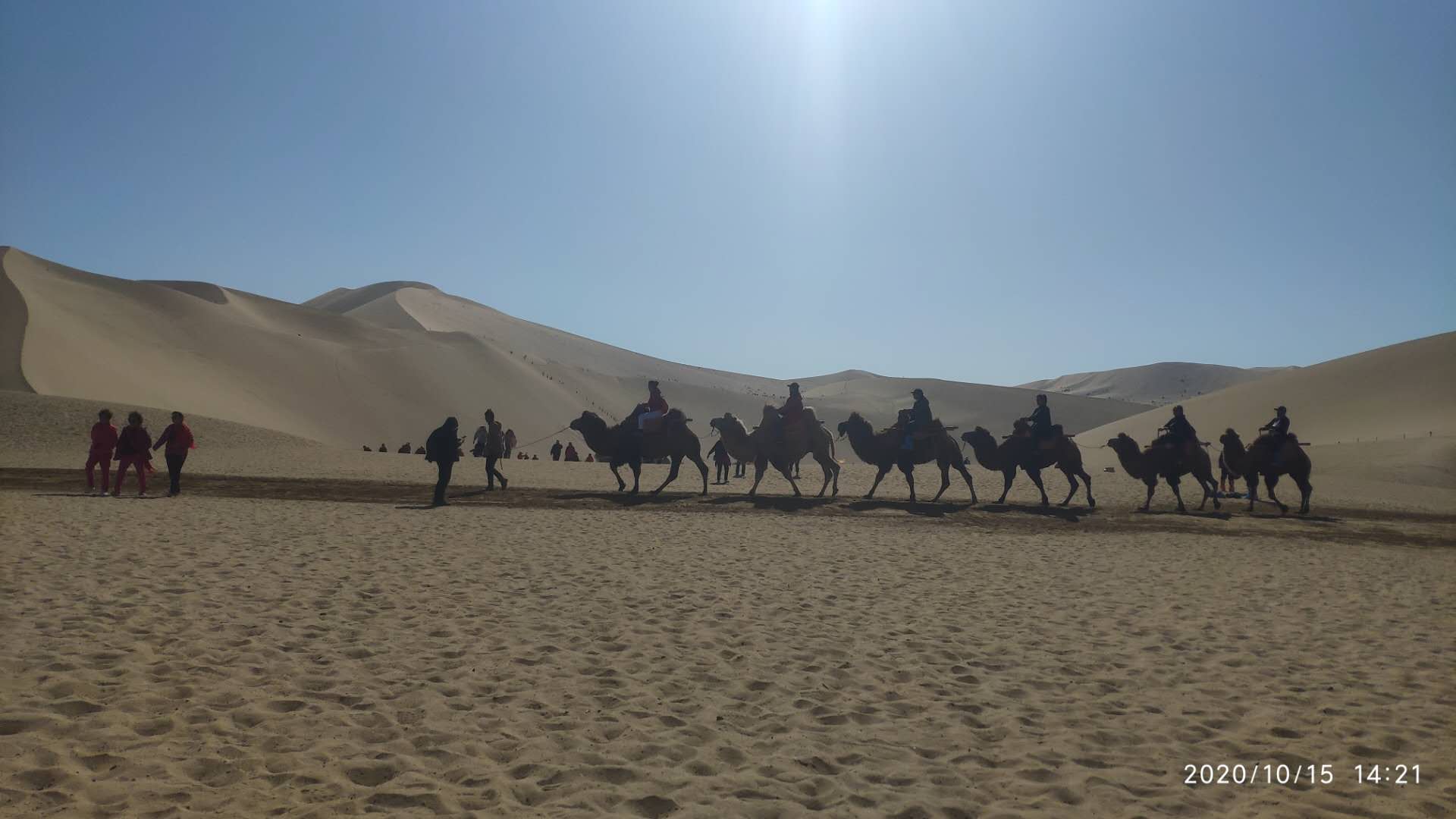 鸣沙山中的骆驼