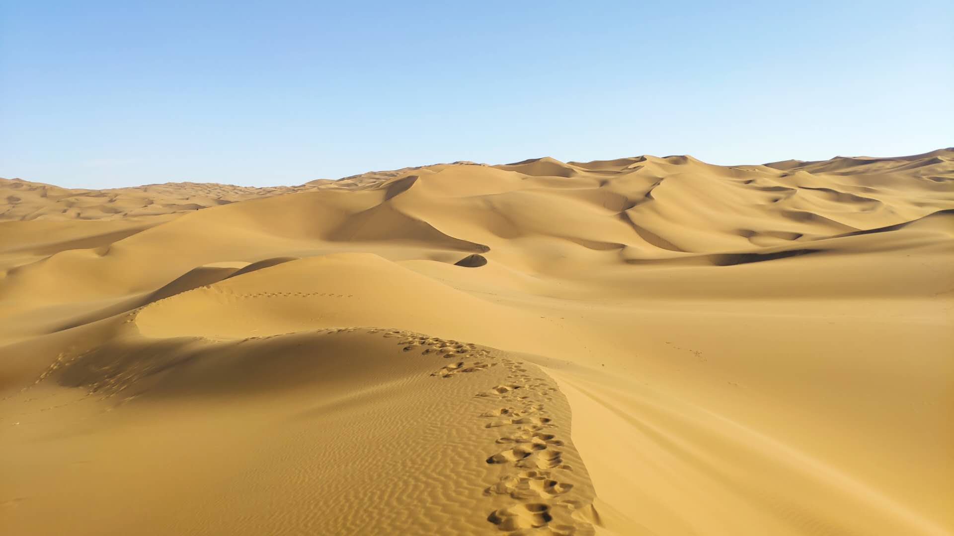 鄯善的库木塔格沙漠